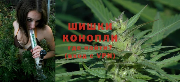 2c-b Белокуриха