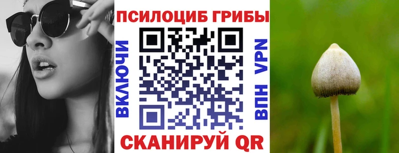 Псилоцибиновые грибы Psilocybe  Богданович 