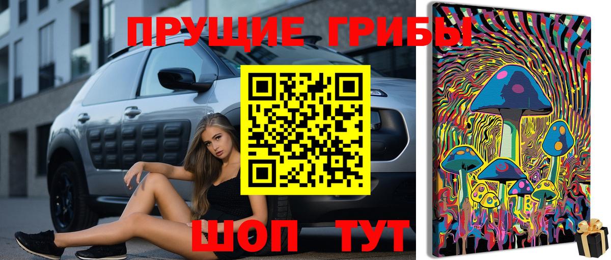 Богданович  Галлюциногенные грибы Magic Shrooms  Вход с VPN 